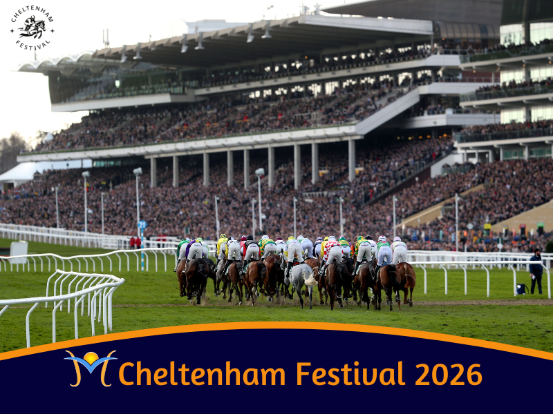 cheltenham-flight-birm–10